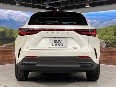 2023 Lexus NX 缩略图 15