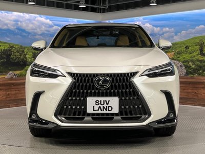 2023 Lexus NX 缩略图 14