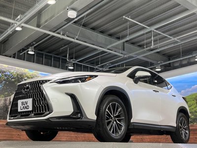 2023 Lexus NX 缩略图 25