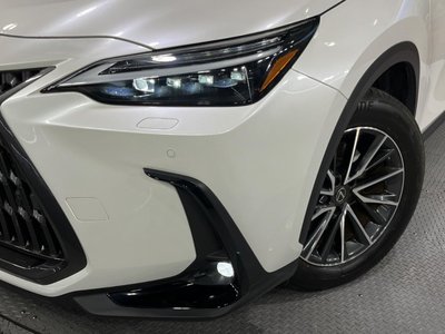 2023 Lexus NX 缩略图 12