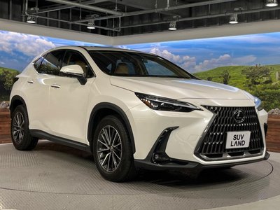 2023 Lexus NX 缩略图 16