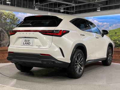 2023 Lexus NX 缩略图 17