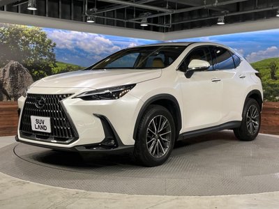 2023 Lexus NX 缩略图 23