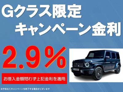 MERCEDES-BENZ G-CLASS - 3