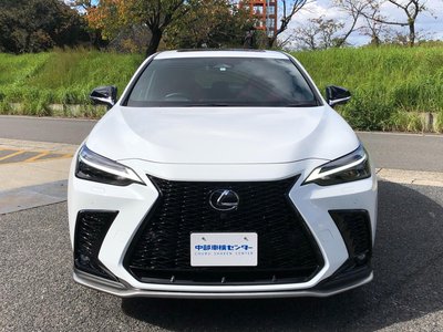 LEXUS NX - 8