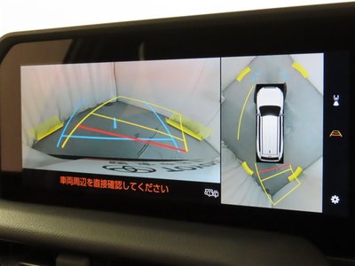 TOYOTA LAND CRUISER 250 - 6