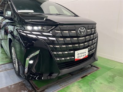 2024 Toyota ALPHARD 缩略图 11