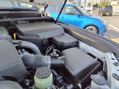 2023 Toyota LAND CRUISER 300 缩略图 55