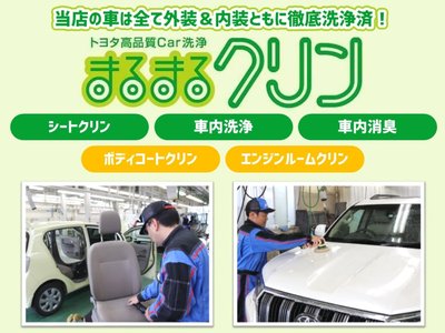TOYOTA VELLFIRE - 2