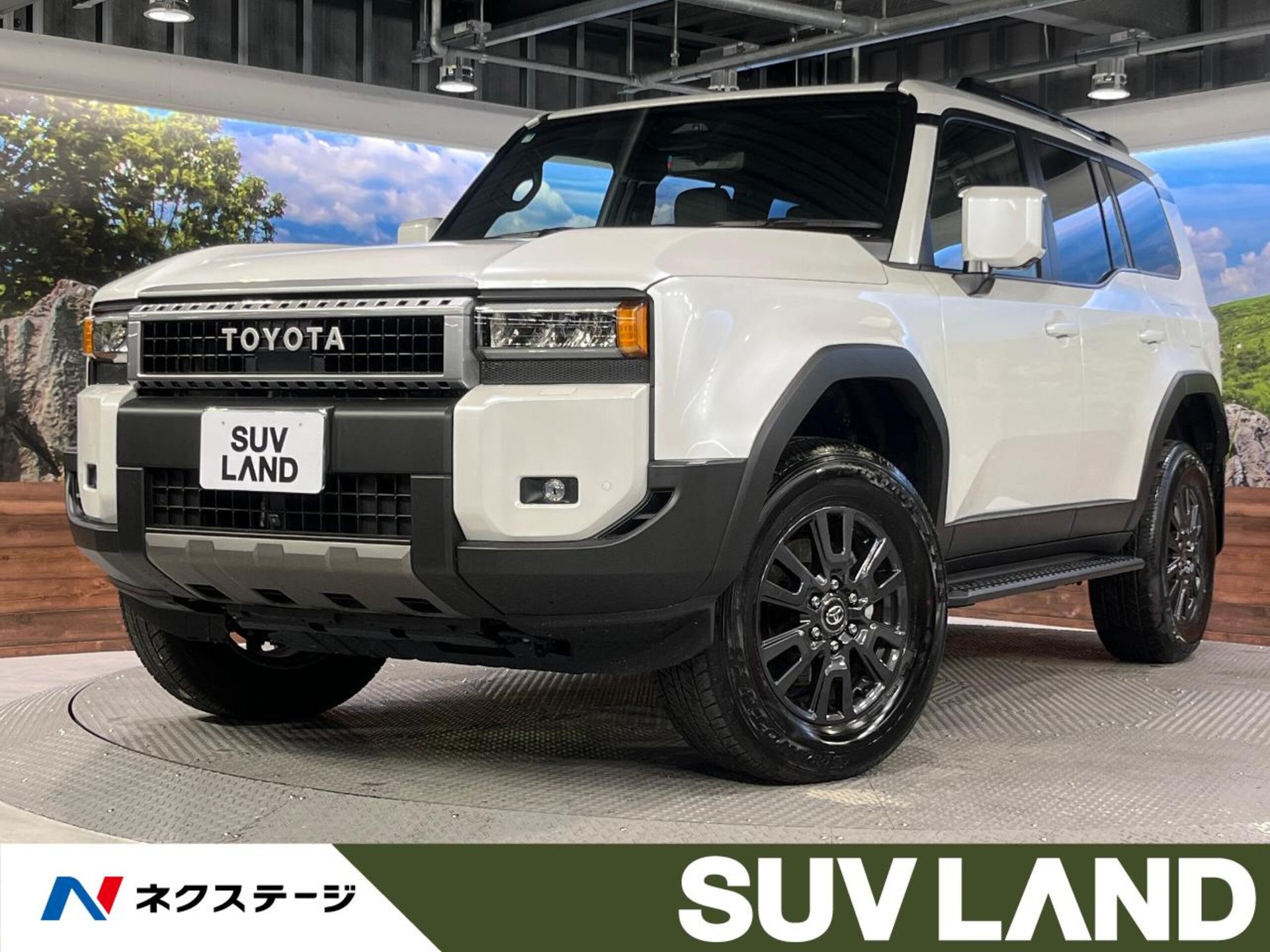 TOYOTA LAND CRUISER 250 - View 1