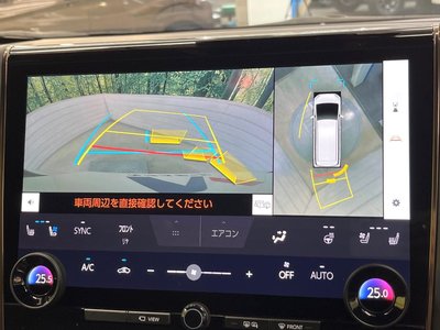 TOYOTA ALPHARD - 4