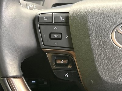 2024 Toyota ALPHARD 缩略图 61