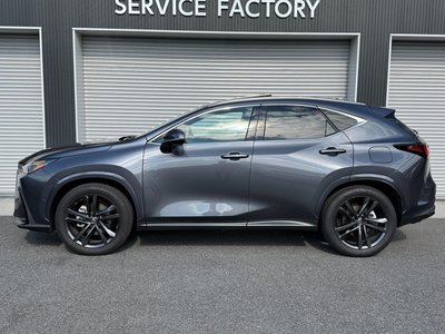 LEXUS NX - 10