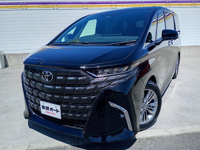 2025 Toyota ALPHARD thumbnail 11