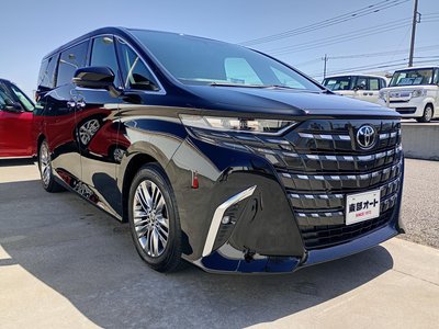 2025 Toyota ALPHARD thumbnail 19