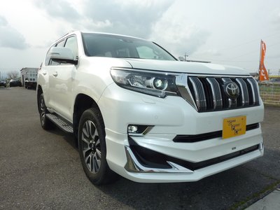 TOYOTA LAND CRUISER PRADO - 6