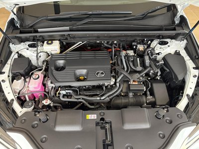 2022 Lexus NX 缩略图 19