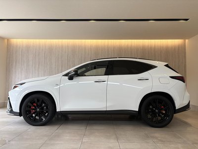 2022 Lexus NX 缩略图 29