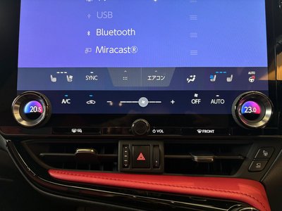 2022 Lexus NX 缩略图 41
