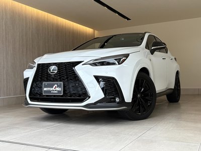 2022 Lexus NX 照片 2