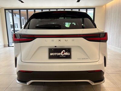2022 Lexus NX 缩略图 23
