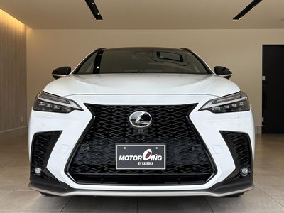 2022 Lexus NX 缩略图 22