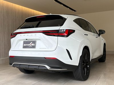 2022 Lexus NX 缩略图 24