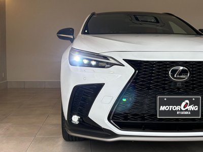 2022 Lexus NX 缩略图 20