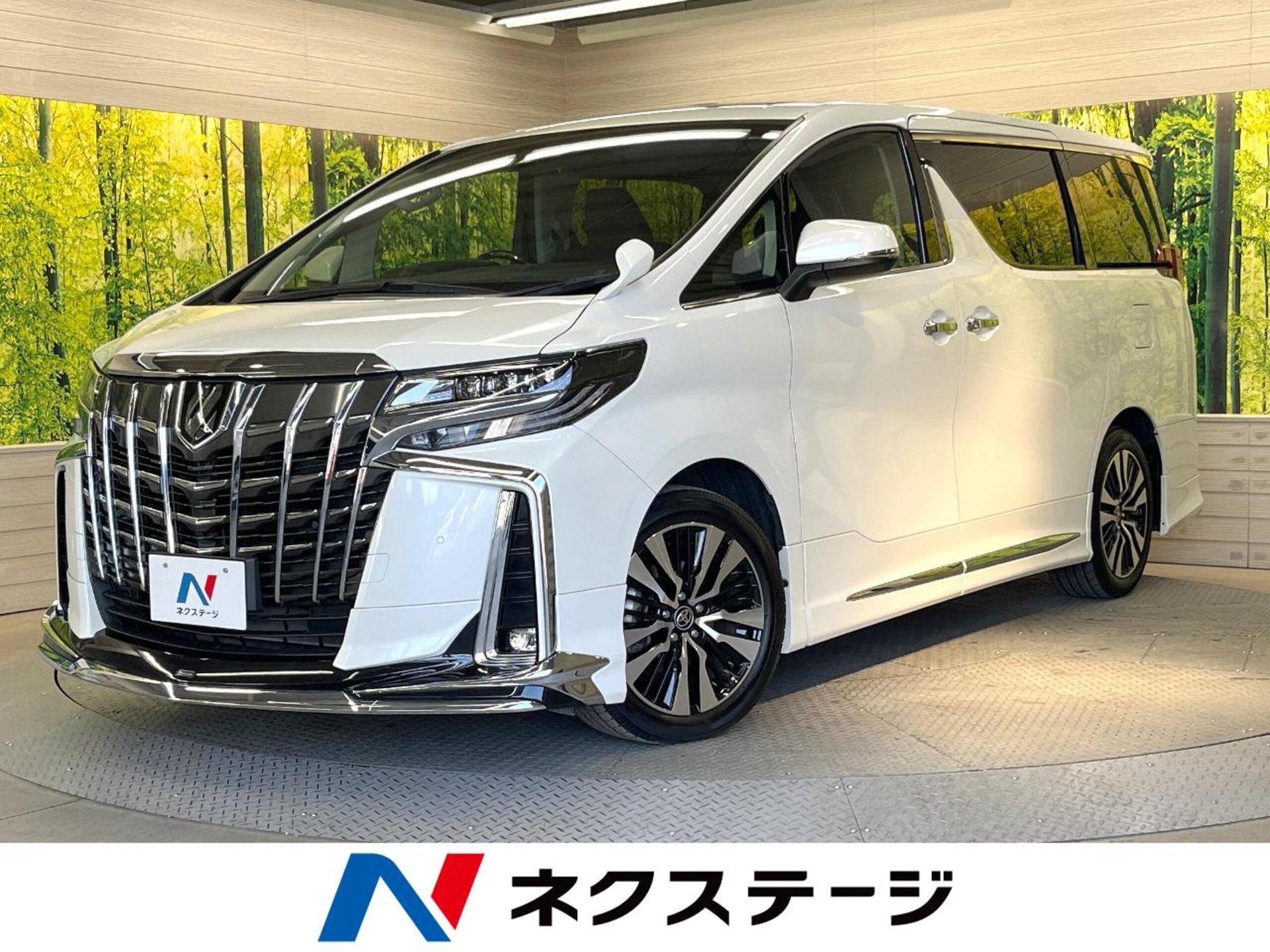 TOYOTA ALPHARD - View 1
