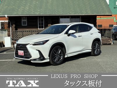 LEXUS NX - 4