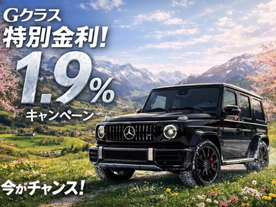 MERCEDES-BENZ G-CLASS - 2