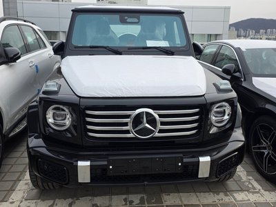 MERCEDES-BENZ G-CLASS - 2