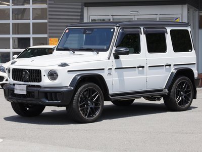 2025 Mercedes-BENZ G-CLASS AMG 照片 10