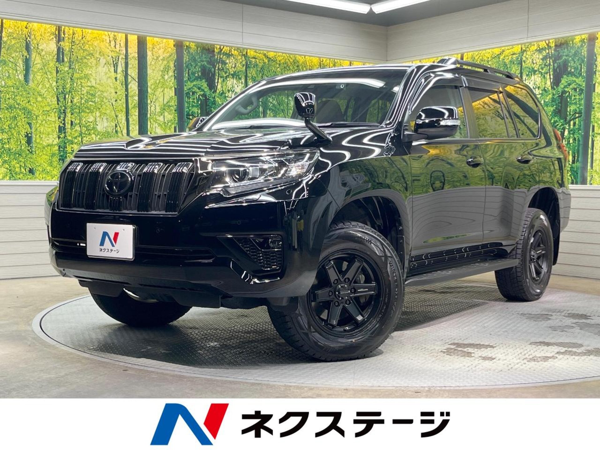 TOYOTA LAND CRUISER PRADO - View 1