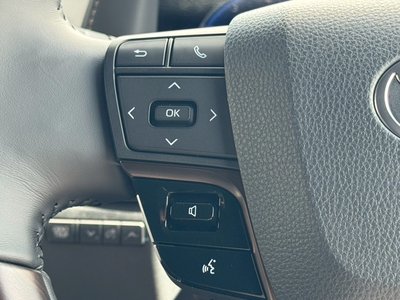 صورة مصغرة 32 لـ 2026 Toyota ALPHARD