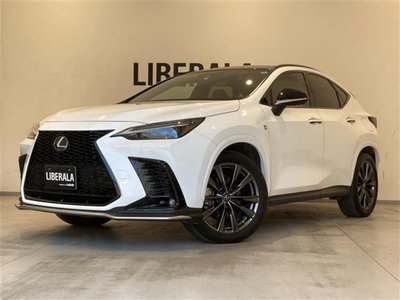 LEXUS NX - 1
