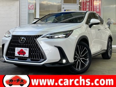 LEXUS NX - 1