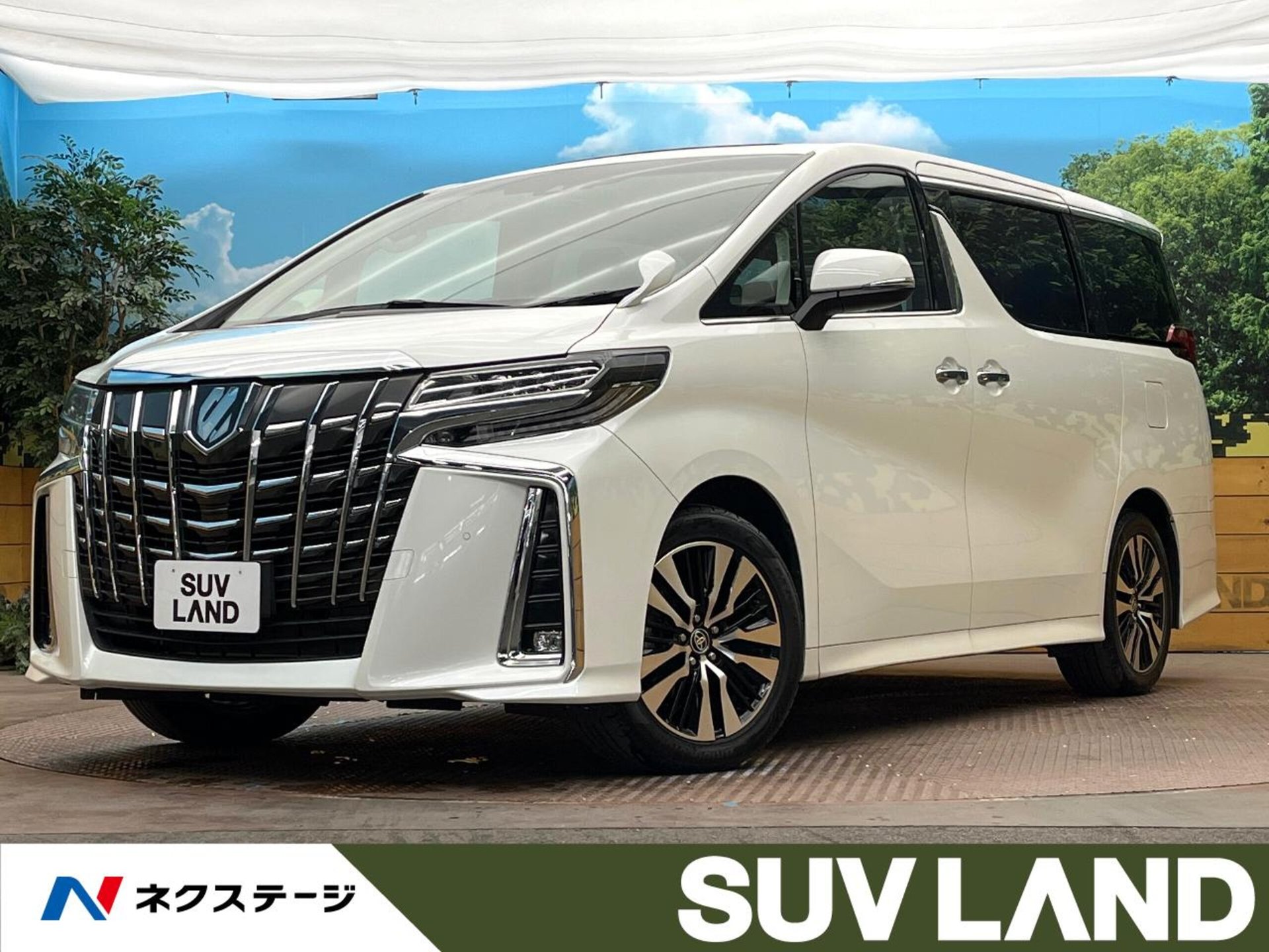 TOYOTA ALPHARD - View 1