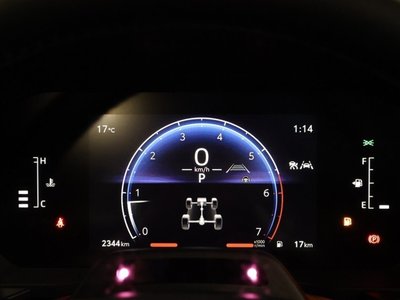 TOYOTA LAND CRUISER 250 - 10