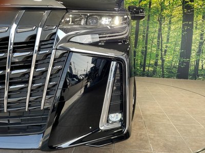 2023 Toyota ALPHARD — миниатюра 12