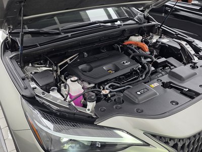 2023 Lexus NX 照片 7