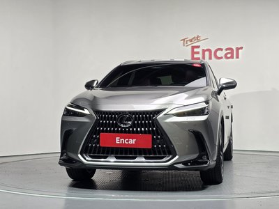 2023 Lexus NX 照片 2