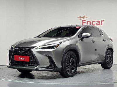 2023 Lexus NX 照片 1