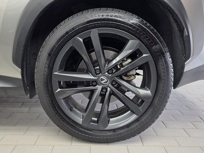 2023 Lexus NX 照片 8