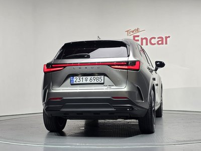 2023 Lexus NX 照片 4