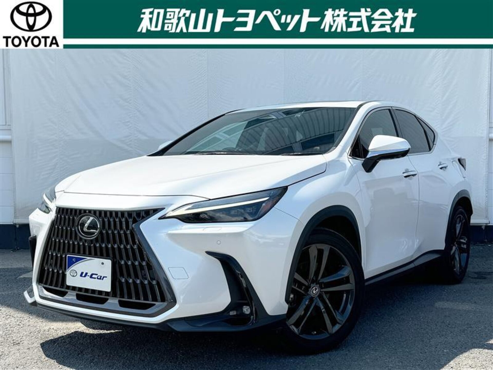 LEXUS NX - View 1