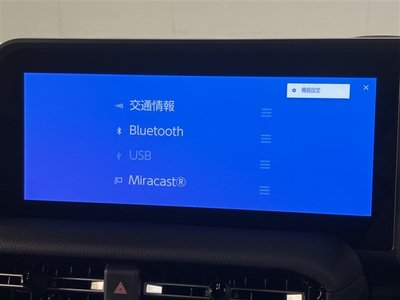 2024 Toyota LAND CRUISER 250 缩略图 11