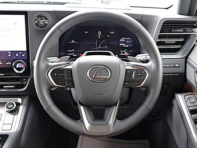 2025 Lexus GX photo 10