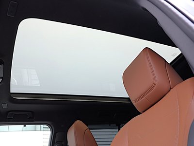 2025 Lexus GX 缩略图 20