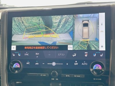 2024 Toyota ALPHARD 照片 6